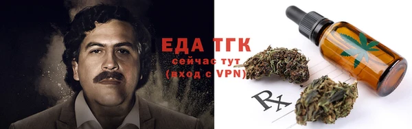 хмурый Мегион