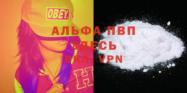 хмурый Мегион