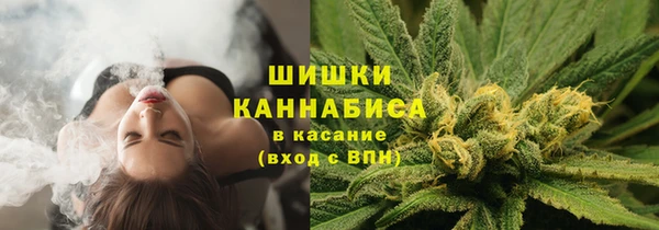 хмурый Мегион